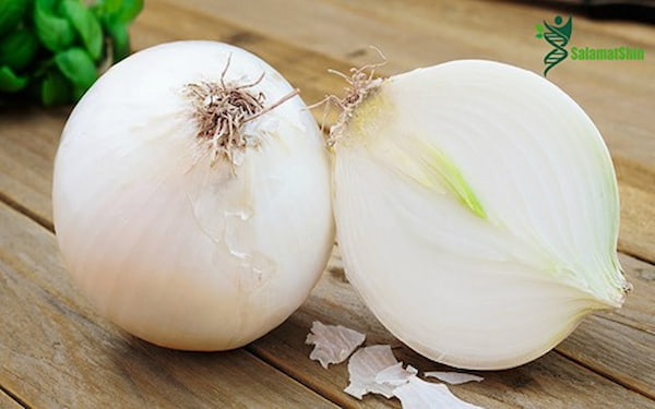 تصویر 5 از قیمت خرید پیاز سفید درشت + فروش ویژه